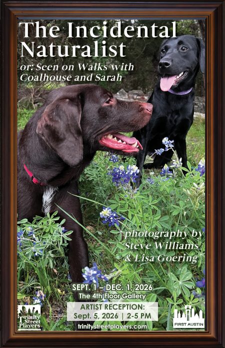 Steve & Lisa art exhibit poster